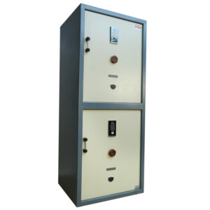 Buy Safety Locker- 6ft Biometric + Key Twin Door