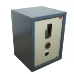 Image of a Accura Smart Locker