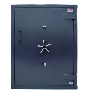 Accura Jumbo Strong Room Door